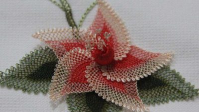 Anlatımlı İğne Oyası Çarkıfelek Modeli